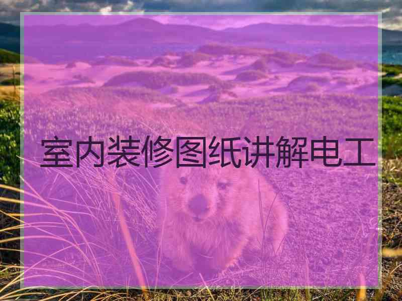 室内装修图纸讲解电工