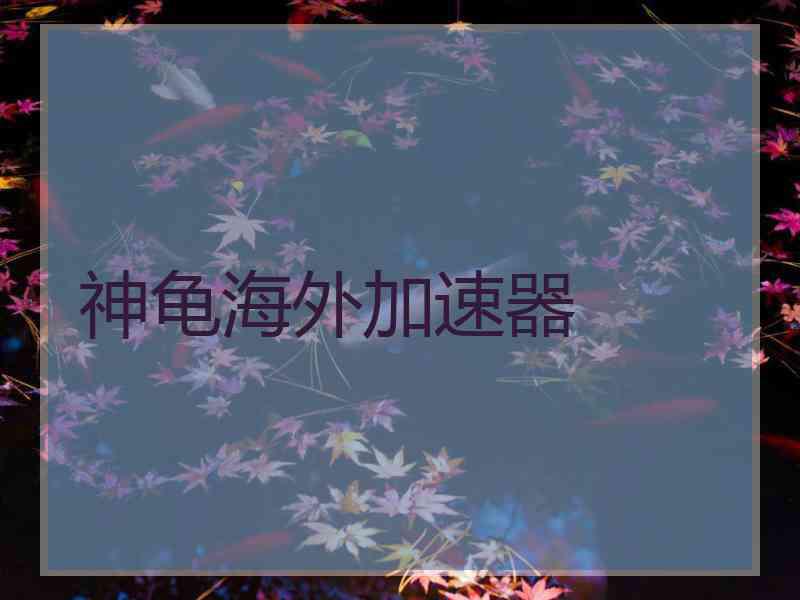 神龟海外加速器