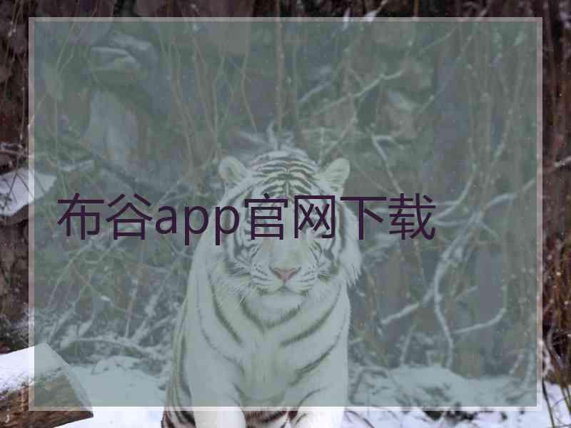 布谷app官网下载