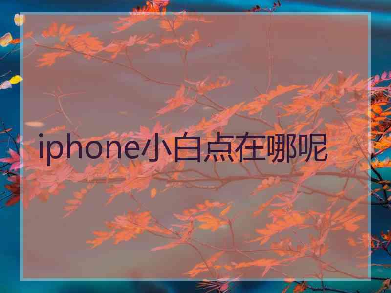 iphone小白点在哪呢