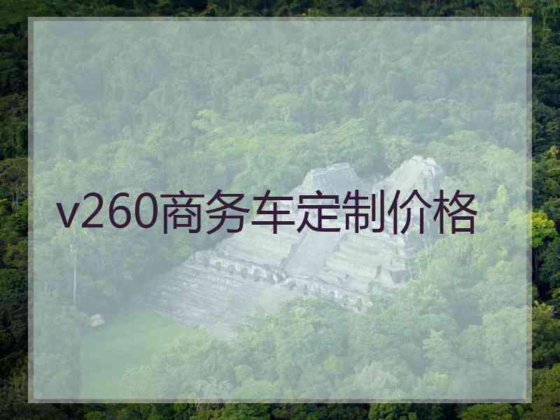 v260商务车定制价格