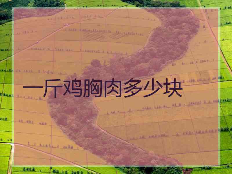 一斤鸡胸肉多少块