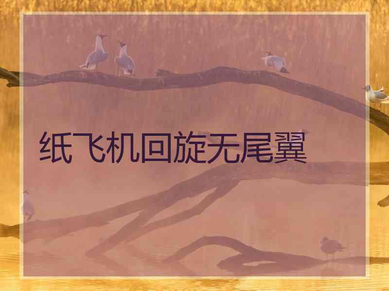纸飞机回旋无尾翼