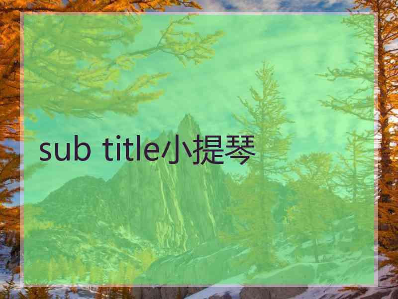 sub title小提琴