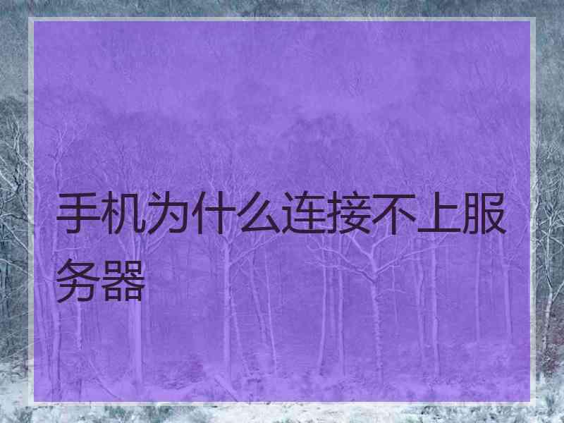 手机为什么连接不上服务器