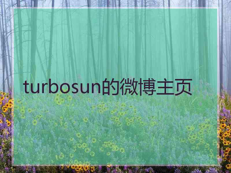turbosun的微博主页