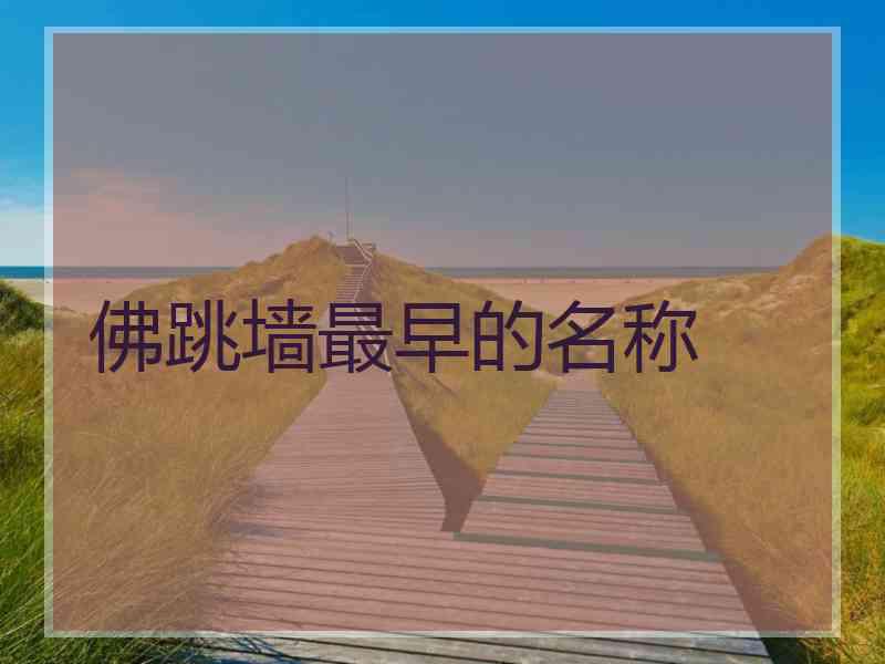 佛跳墙最早的名称