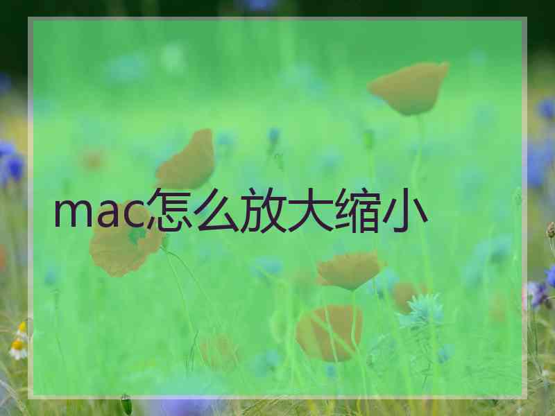 mac怎么放大缩小