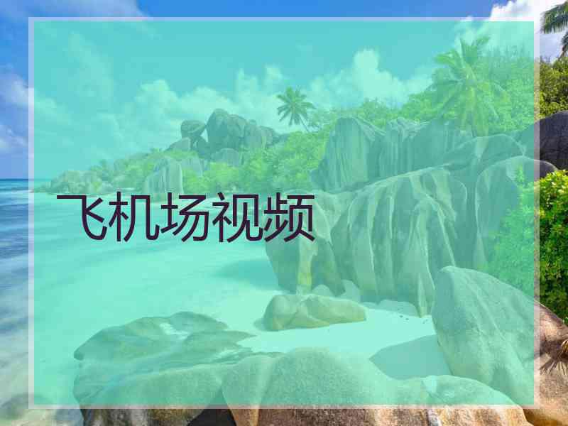 飞机场视频