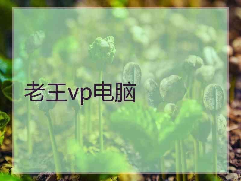 老王vp电脑