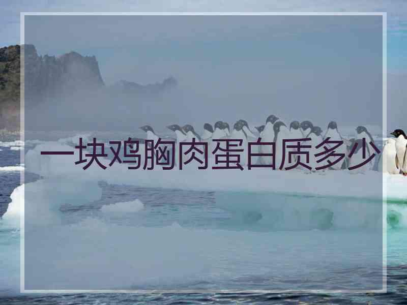 一块鸡胸肉蛋白质多少
