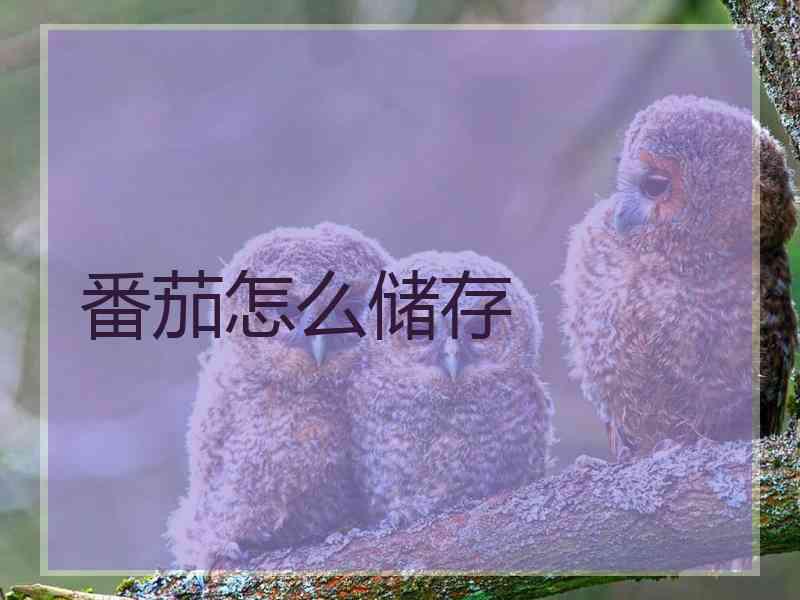 番茄怎么储存