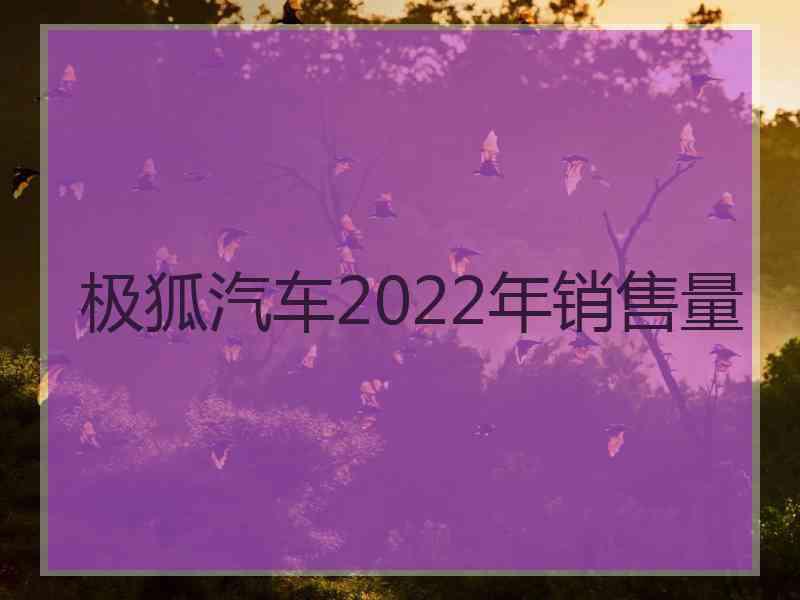 极狐汽车2022年销售量