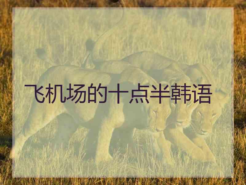 飞机场的十点半韩语