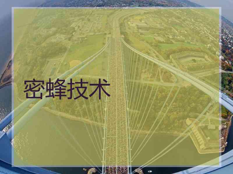 密蜂技术