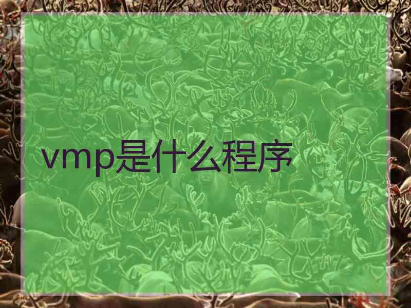 vmp是什么程序