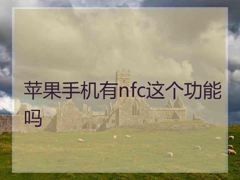 苹果手机有nfc这个功能吗