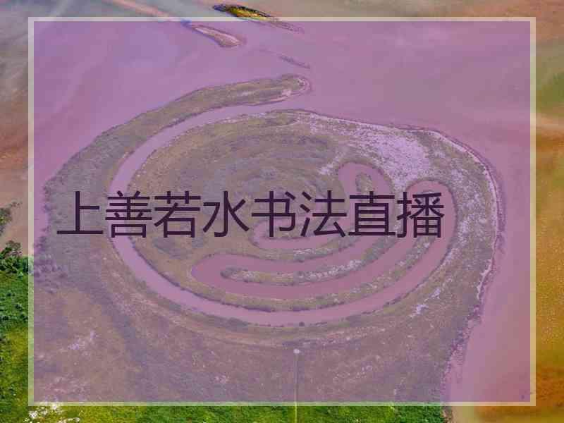 上善若水书法直播