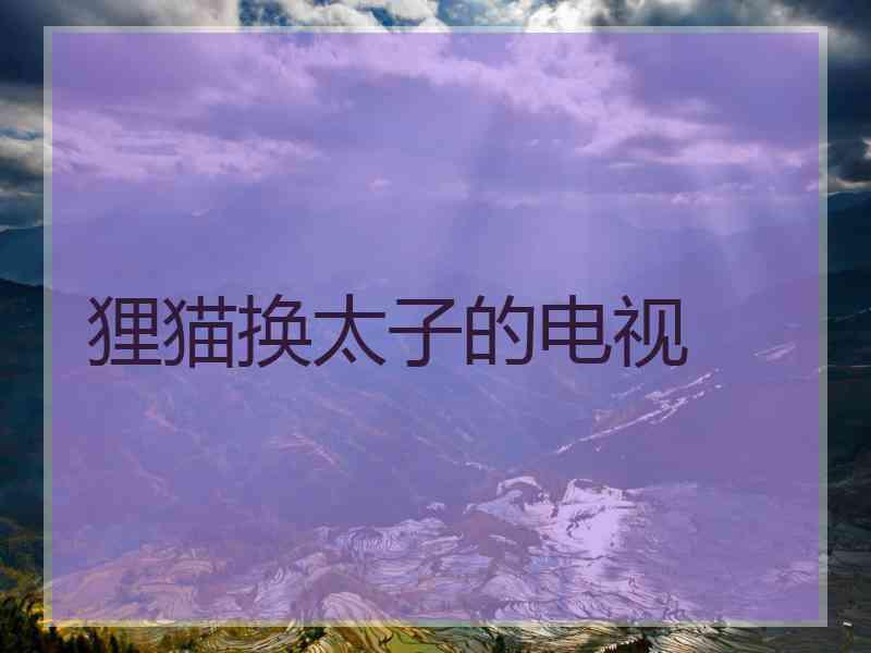狸猫换太子的电视