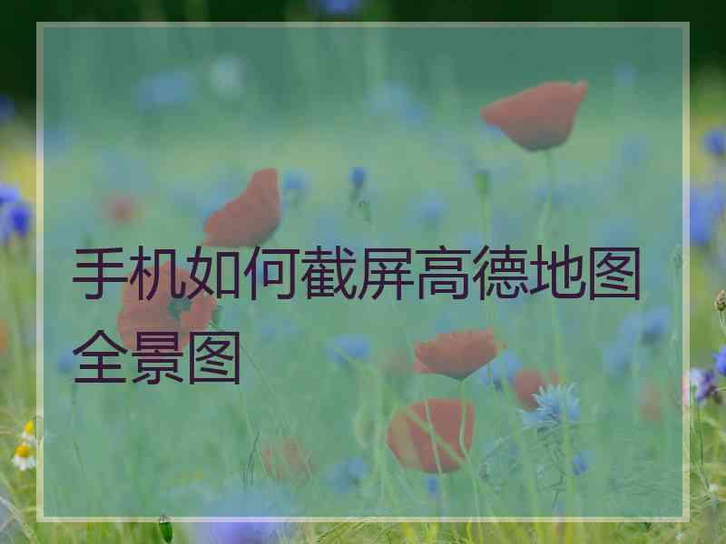 手机如何截屏高德地图全景图