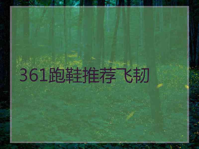 361跑鞋推荐飞韧