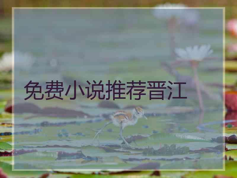 免费小说推荐晋江