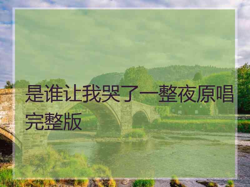 是谁让我哭了一整夜原唱完整版