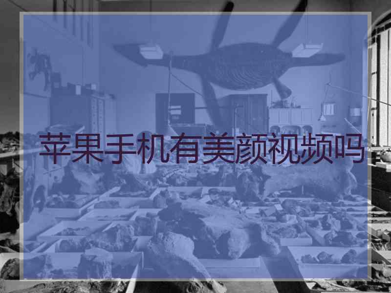 苹果手机有美颜视频吗