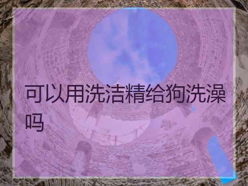 可以用洗洁精给狗洗澡吗