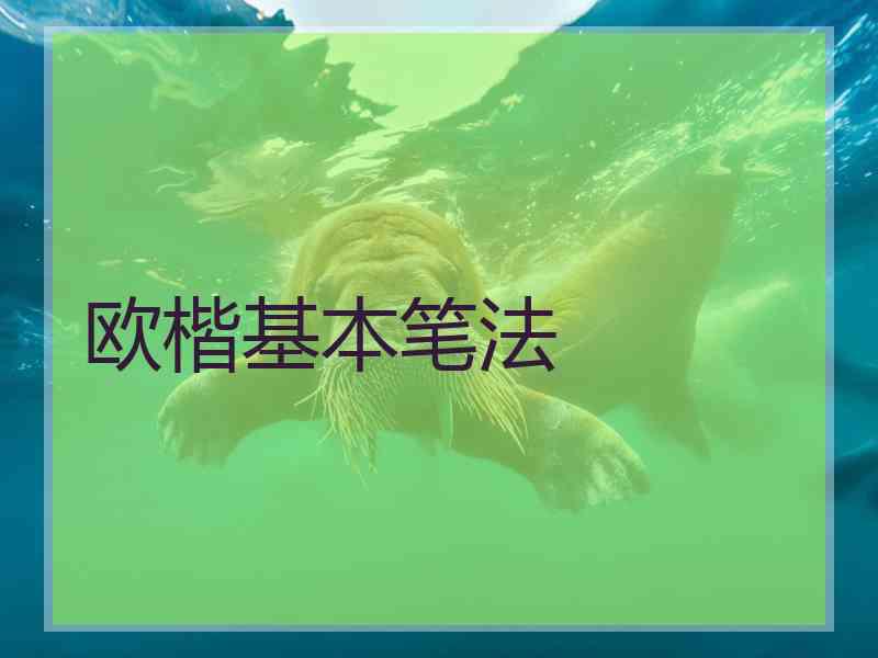 欧楷基本笔法