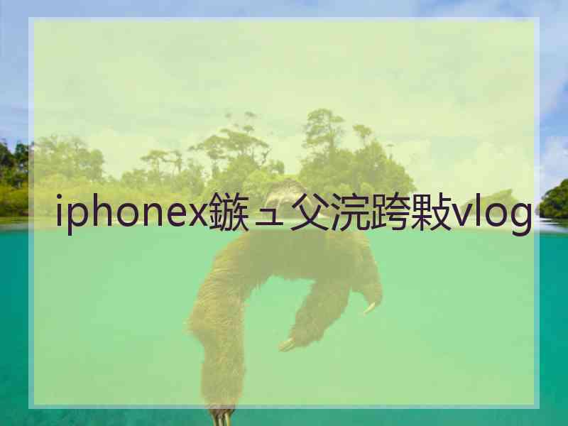 iphonex鏃ュ父浣跨敤vlog