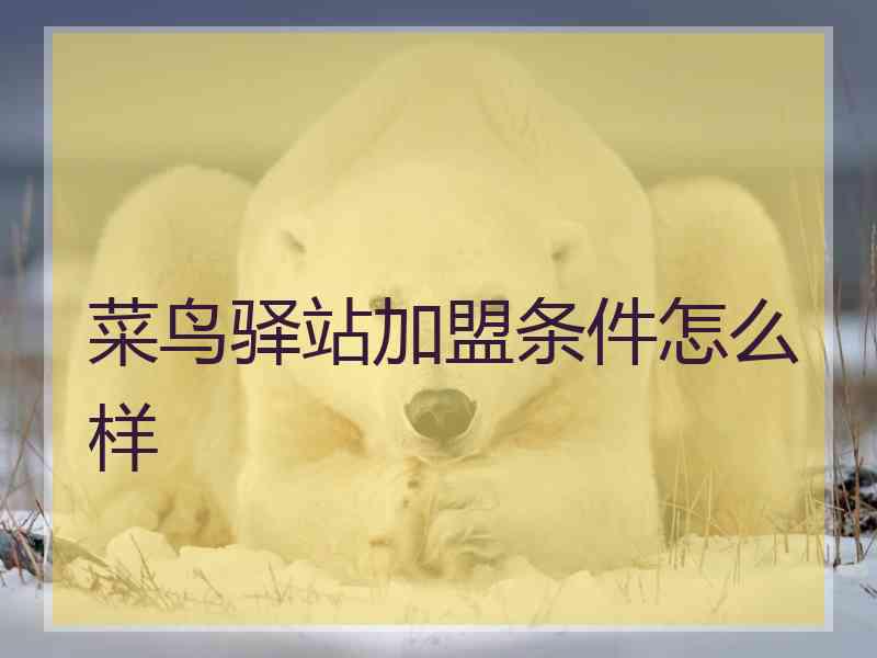 菜鸟驿站加盟条件怎么样