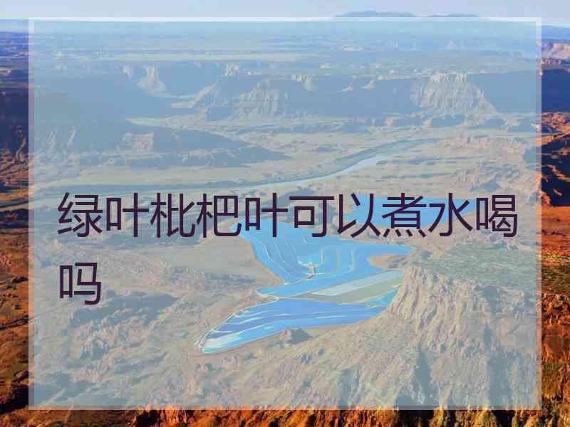 绿叶枇杷叶可以煮水喝吗