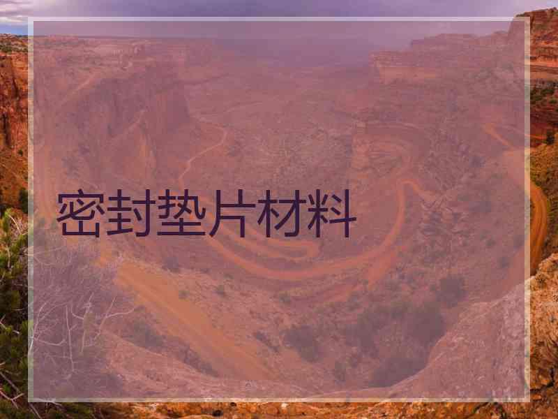 密封垫片材料