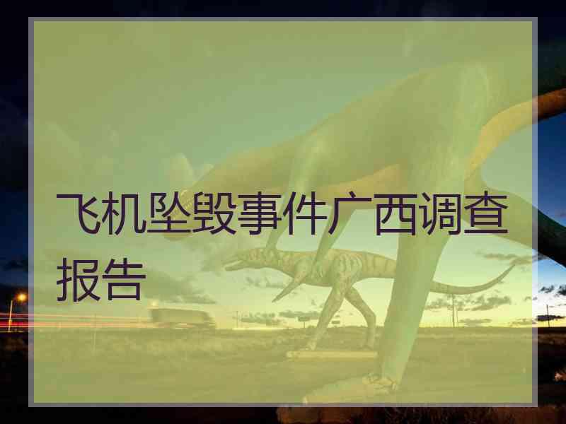 飞机坠毁事件广西调查报告