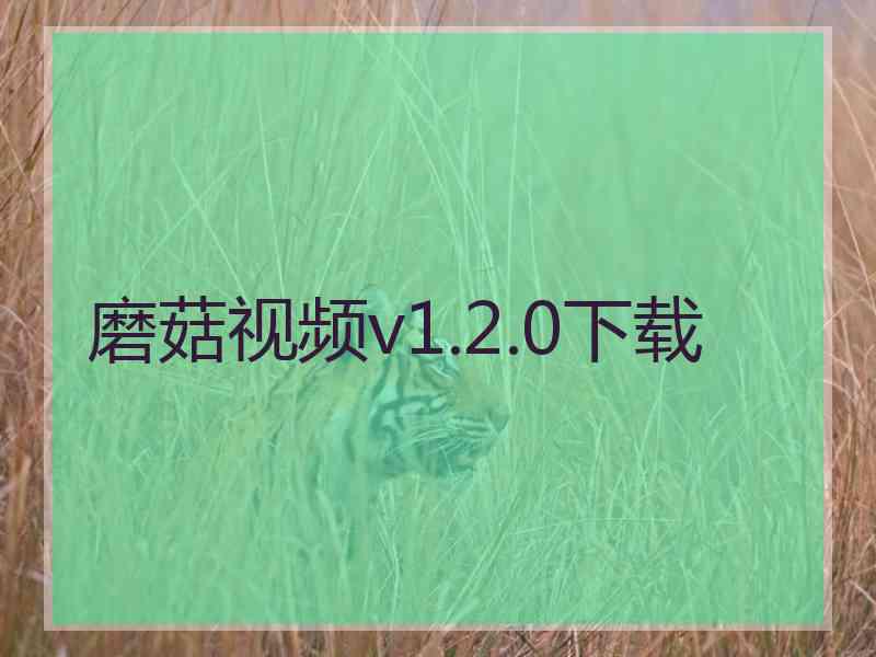 磨菇视频v1.2.0下载