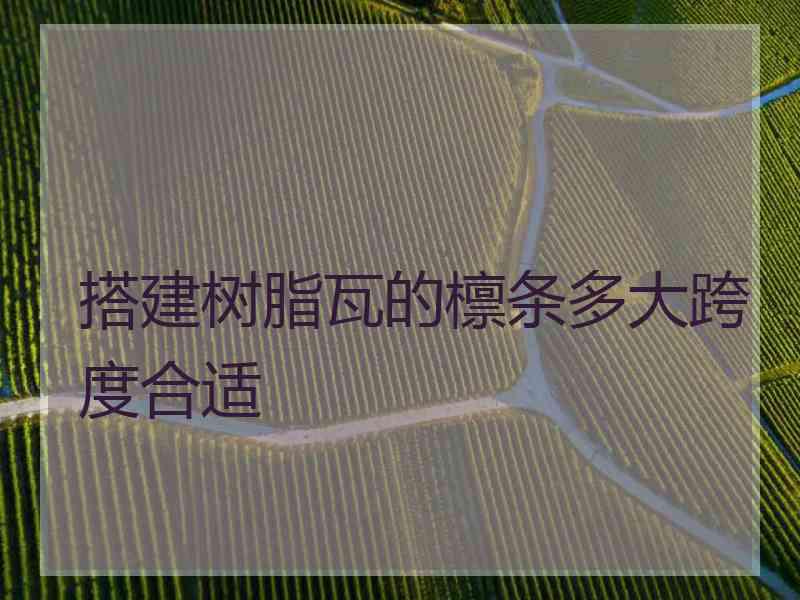 搭建树脂瓦的檩条多大跨度合适