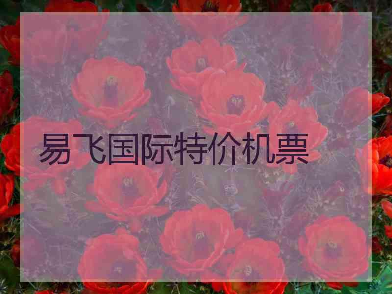 易飞国际特价机票
