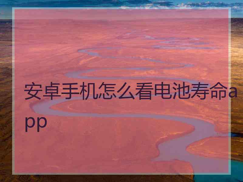 安卓手机怎么看电池寿命app