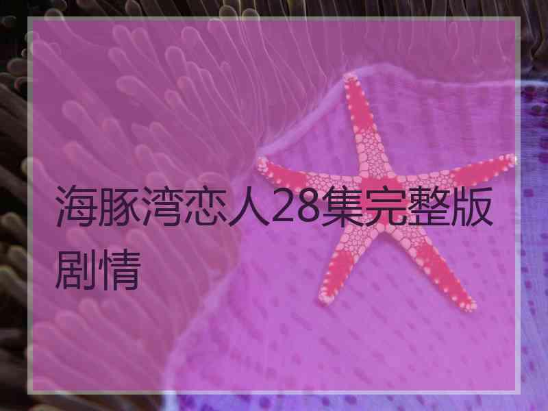 海豚湾恋人28集完整版剧情