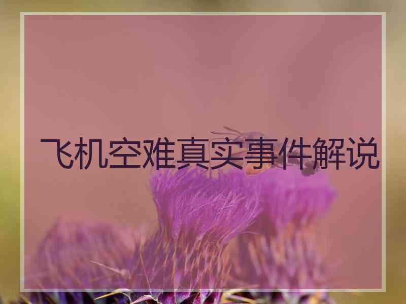 飞机空难真实事件解说