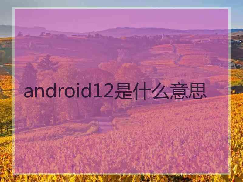 android12是什么意思