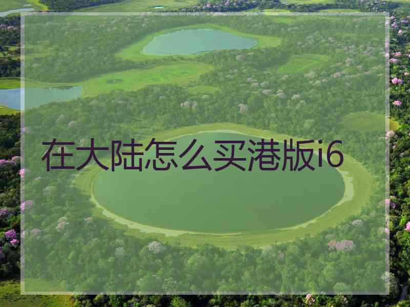 在大陆怎么买港版i6