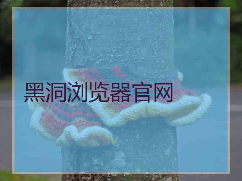黑洞浏览器官网