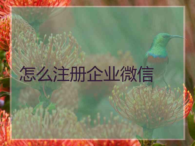 怎么注册企业微信