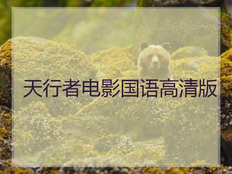 天行者电影国语高清版