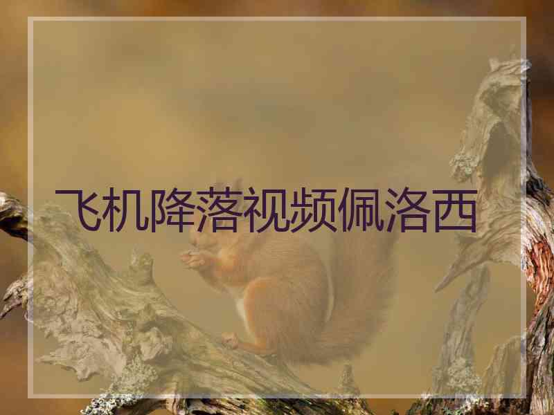 飞机降落视频佩洛西