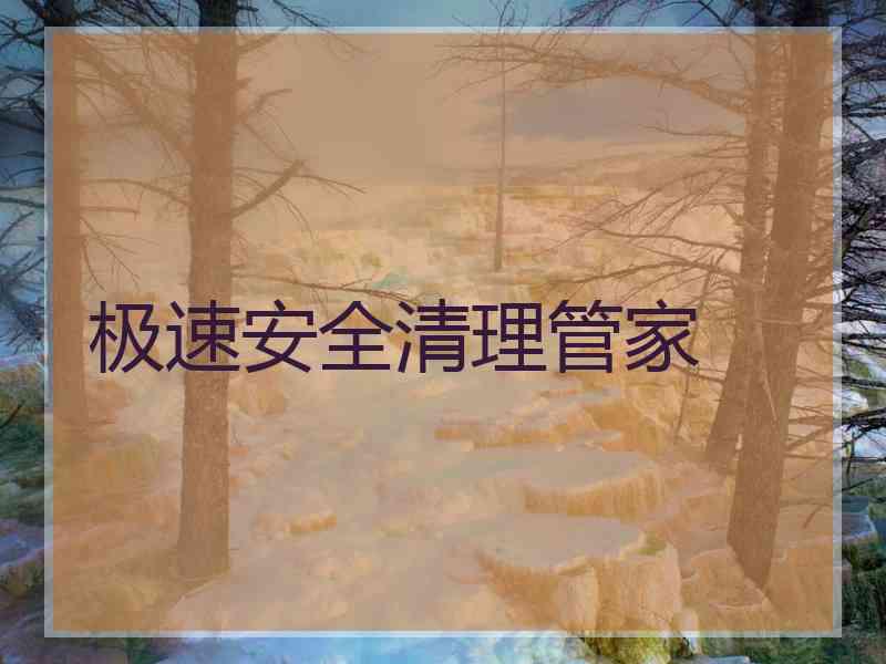 极速安全清理管家