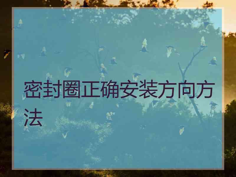 密封圈正确安装方向方法
