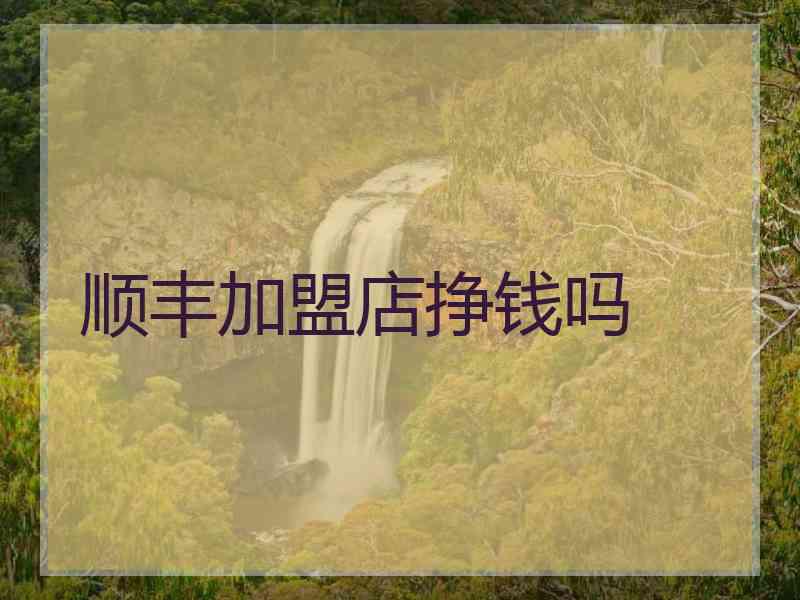 顺丰加盟店挣钱吗